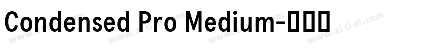 Condensed Pro Medium字体转换